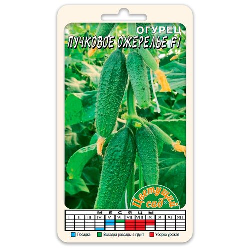 ���������� ������ �������� �������� F1 (������ �������� ��� 0,3 �)