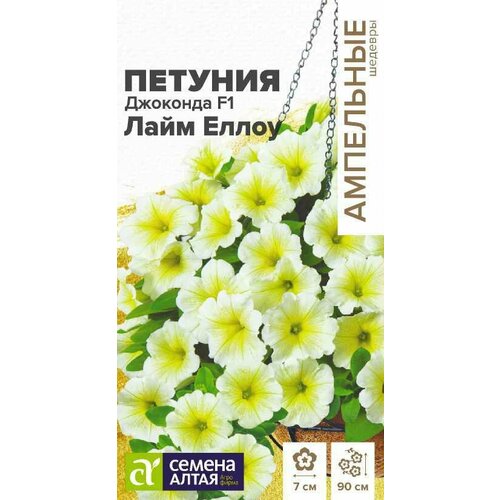 ���������� ������ ������� �������� ���� ����� �������������� F1 5�� ��� 30�� (������ �����) ��������� �������