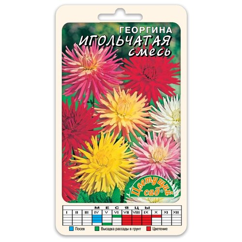 ���������� ������ �������� ��� 