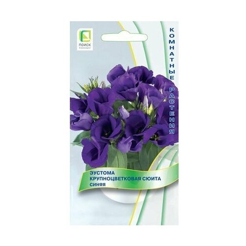 ���������� ������ ������� ����� ����� ��������������� ����� 5 ��