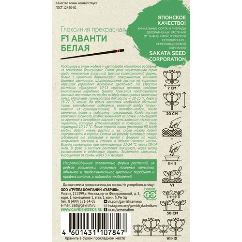 ���������� ������ ��������� ������ ����� F1 ������ ������� 5 ��