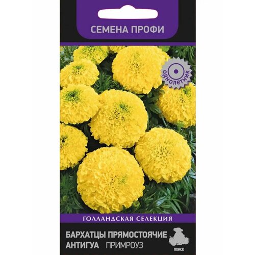 ���������� �������� ������������ 