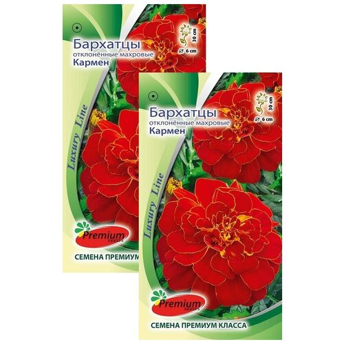 ���������� �������� ����������� �������� ������ (0,3 �), 2 ������