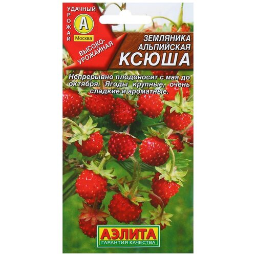 ���������� ������ ��������� 