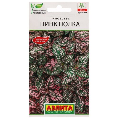 ���������� ������ ������ ��������� 