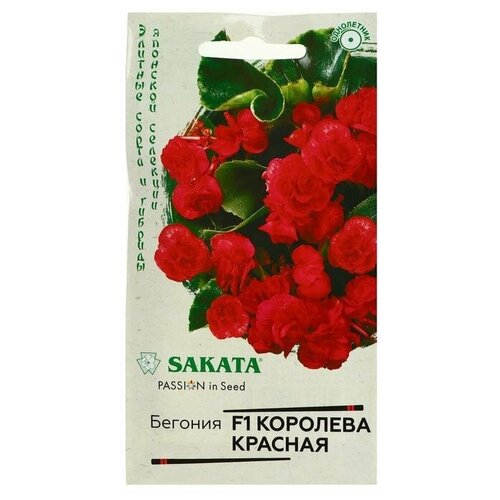 ���������� ������. ������� 