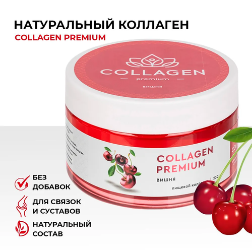      Collagen Premium   , B6      230   ,   ,     , -, 