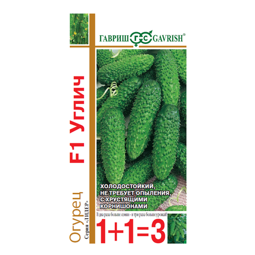 ���������� ������ ������ ����� F1 �������� 20�� ������������������ ������ (������) 1+1