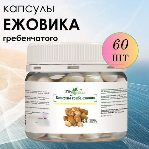 ���������� ������ ���� ����������� � �������� ����-��������, ����������� ������� ������� 60 ��