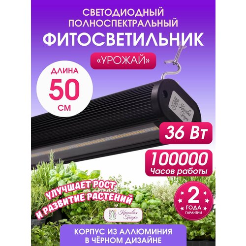 ���������� ��������� ��� �������� � ������� 