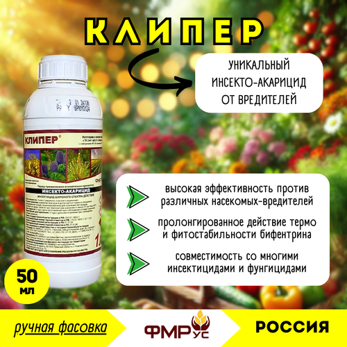 ���������� ������, ��, �������� (�����), 50�� (������ �������) - �� ��������