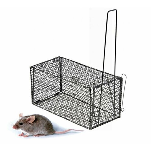 ���������� ���������� ������������� �������� �����