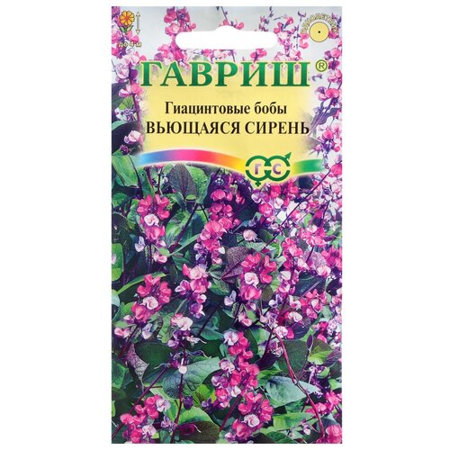 ���������� ������ ������ ������� (����������� ����) 