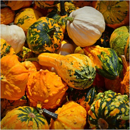 ���������� ������ ������ ����� ������������ ����������� 5 ��.