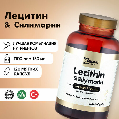 ���������� ������� 1100 �� / ��� ���������� � ���������� ��������� / 120 ������ / ������ / ������