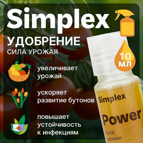  Simplex Power 10 .   , -, 