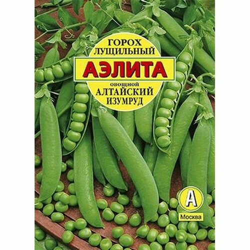 ���������� ������ ����� ��������� ������� ���������, ������������, (������) �/� 25�