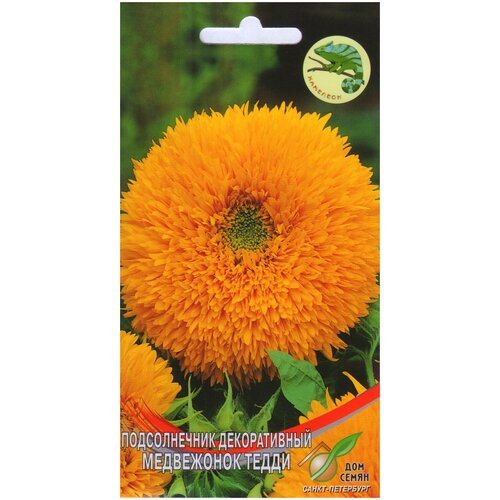 ���������� ������������ ������������ ���������� �����, 13 �����