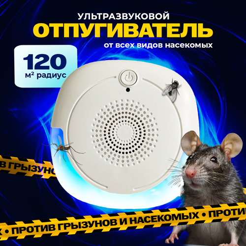 ���������� ������������ �����, �������, ����, ��������� ��������� ��������������