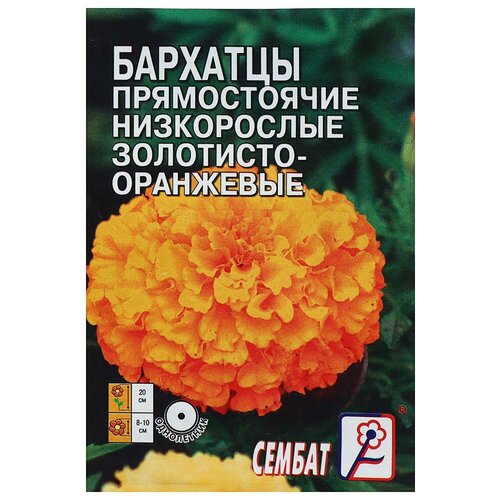 ���������� ������ ������ �������� ������������ ����������� ���������-���������, �, 0,1 �