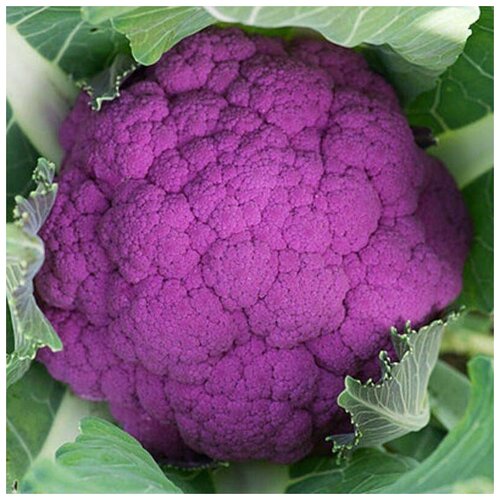 ���������� ������ ������ ������� ������� ��������� 30 ��.