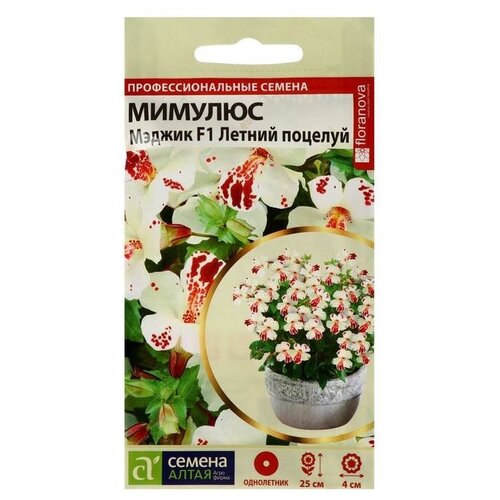 ���������� ������ ������ ������� ������ 