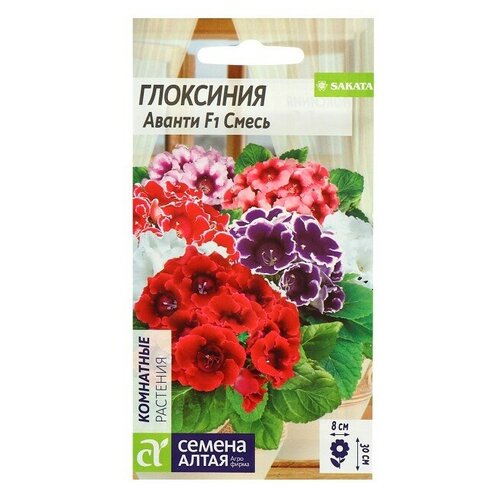 ���������� ������ ��������� ������ ��������� 