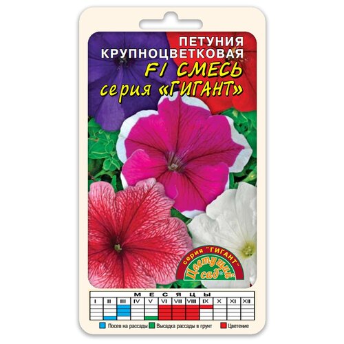 ���������� ������ �������� ��� 