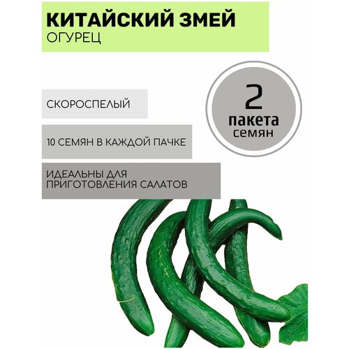 ���������� ������ ������ ��������� ��� 