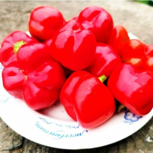 ���������� ����� ������� ����� ����� + �������