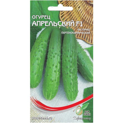 ���������� ������ ���������� F1, 10 �����