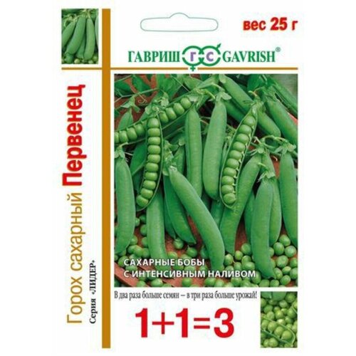 ���������� ������ ����� �������� �������� 25� ������ (������) 1+1