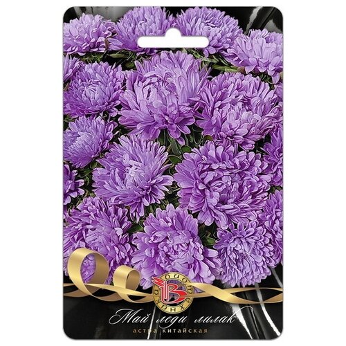 ���������� ����� ��� ���� �����