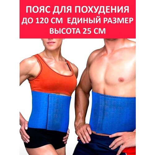 ���������� ���� ��� ��������� ������ ������� ������� ����� �� 120 �� Svelta