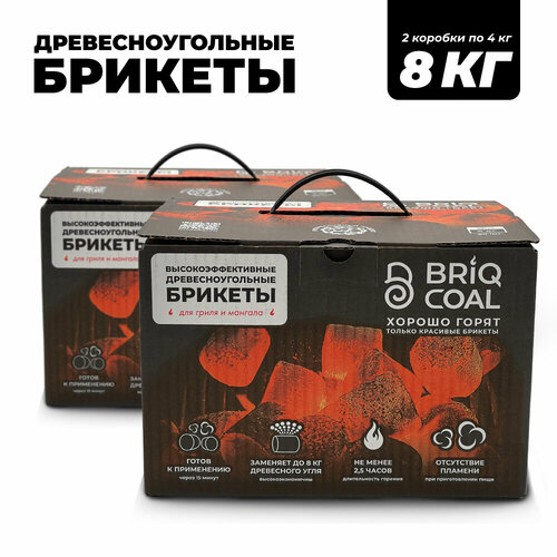 ���������� 2 �������� BriqBOX �� 4 �� - ����������������� ���������������� ������� BRIQCOAL