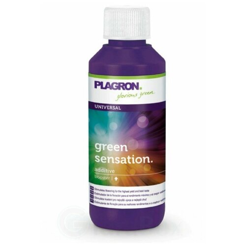   Plagron Green Sensation, 100    , -, 