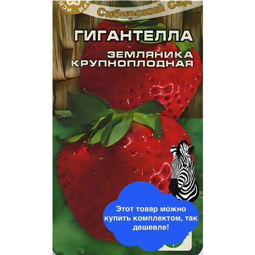 ���������� ������ ������ ��������� ��� 