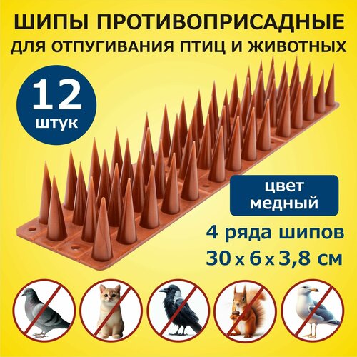 ���������� ���� ���������������� ��� ������ �� ���� � �������� 300�60�38 �� �������� 12 ������, �������, ��� ������