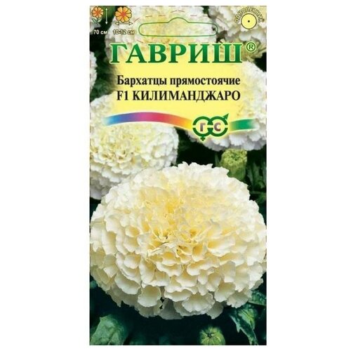 ���������� ������ ������ �������� ������ (�������) 