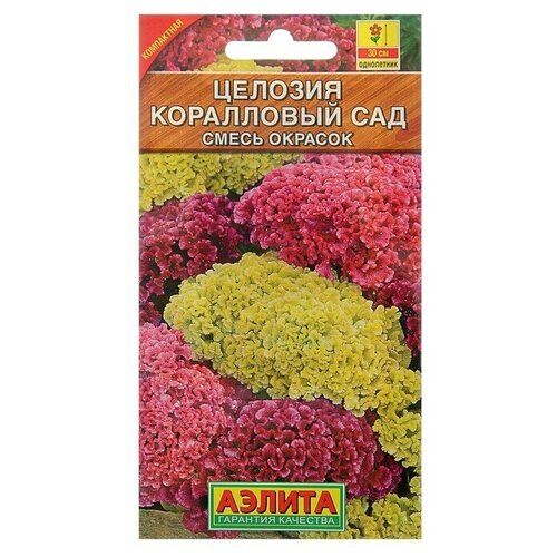 ���������� ������ ������ ������� ����������� 