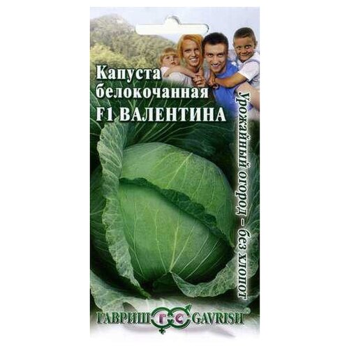 ���������� ������ ������ ������� ������������ ��������� F1 0.1 �, 10 ��.