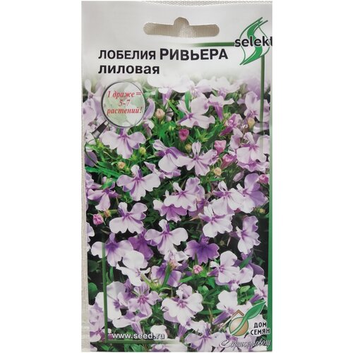 ���������� ������� �������, �������, 10 �����