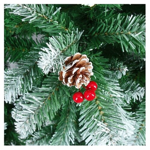 ���������� ��� ������������� ������ ���������� ���� � ��������, 270 ��