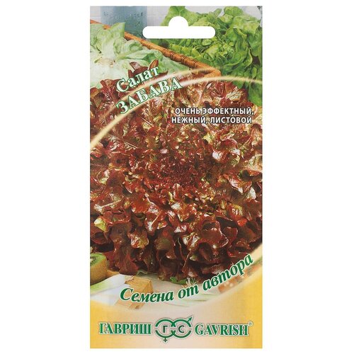 ���������� ������ ����� �������, ��������� ������ 1 �