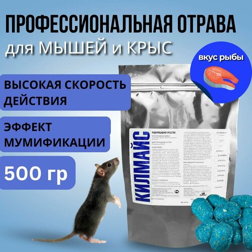 ���������� ������ �� ���� � ����� ���������������� ��������