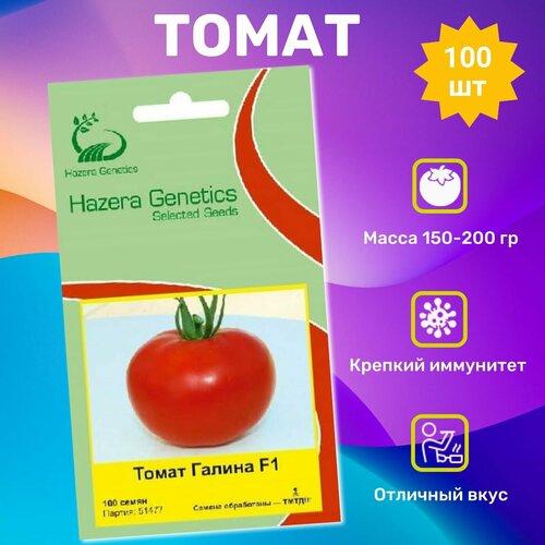 ���������� ������ ������ ������ F1 100��. ���������� ��������