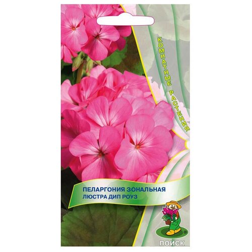 ���������� ������ ����� ���������� ��������� ������ ��� ���� 5 ��.