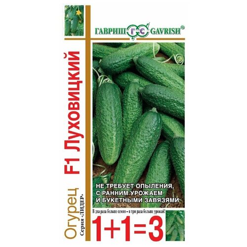 ���������� ������ ������ 