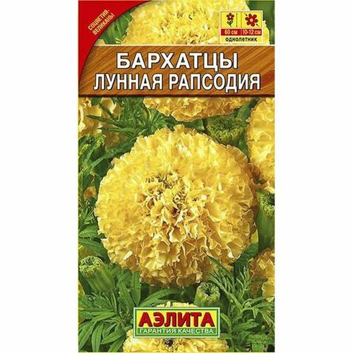 ���������� ������ �������� ������ �������� ����������, (������) 0,3�