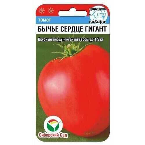 ���������� ������ ����� ����� ������ ������ 20�� ����� (��������� ���)